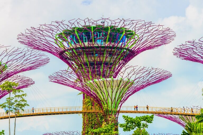 Discover the Top 15 Awesome Things to Do in Singapore!
